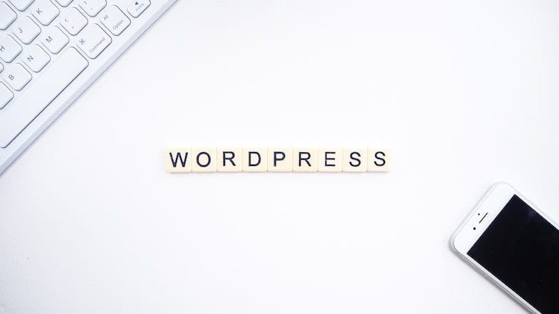 Mastering WordPress for Small Business, Nihon Hustle